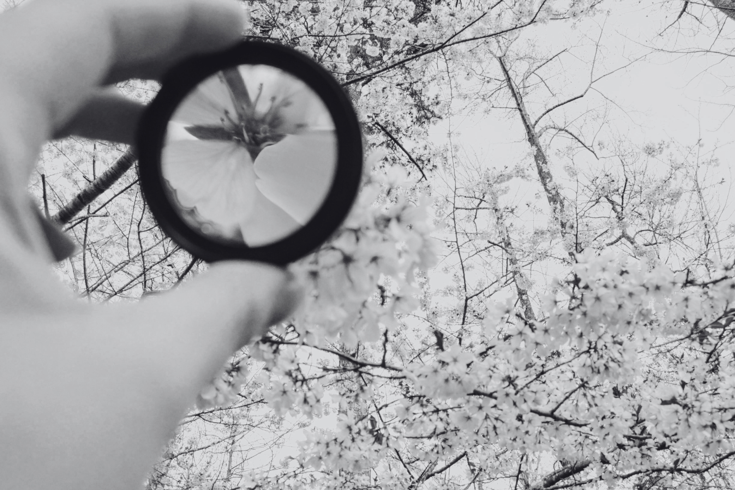 Why Sales Team Focus Fades and What Leaders Can Do
